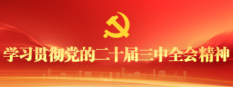 学习贯彻党的二十届三中全会精神