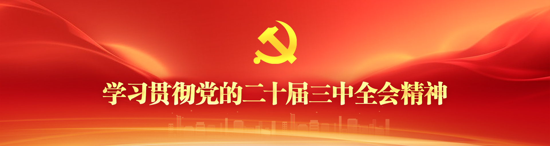 学习贯彻党的二十届三中全会精神